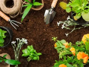 آشنایی با مهم‌ترین تجهیزات باغبانی و کشاورزی